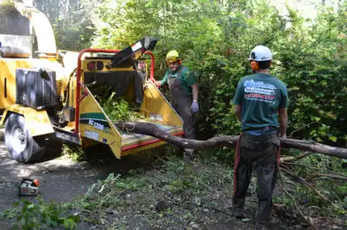 tree services Iowa City